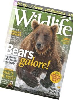 BBC Wildlife – July 2017