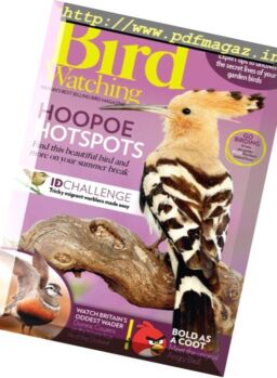 Bird Watching UK – August 2017