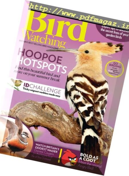 Bird Watching UK – August 2017 Cover
