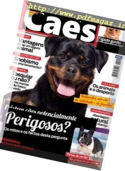 Caes & Companhia – Julho 2017