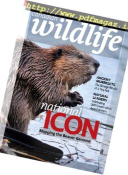 Canadian Wildlife – July-August 2017