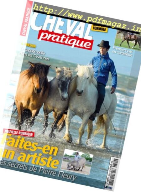 Cheval Pratique – Aout 2017 Cover