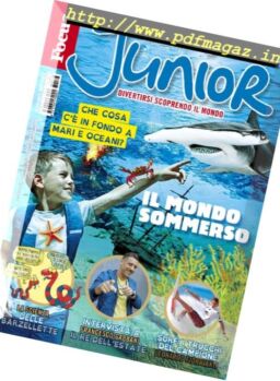 Focus Junior – Agosto 2017