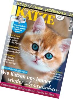 Geliebte Katze – August 2017