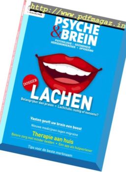 Psyche & Brein – Nr.3, 2017