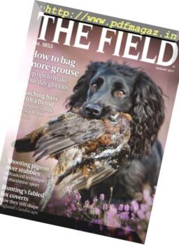 The Field – August 2017