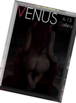 Venus Gallery – Nr. 13, 2017