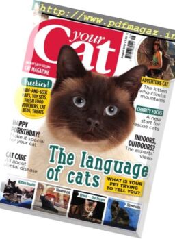 Your Cat – August 2017