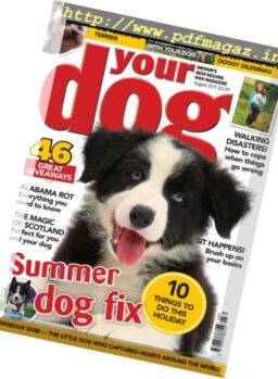 Your Dog – August 2017