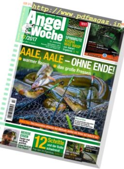 Angel Woche – 28 Juli 2017