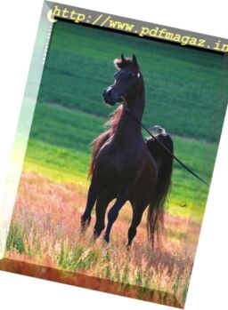 Arabian Horse World – August 2017