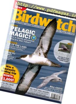 Birdwatch UK – August 2017