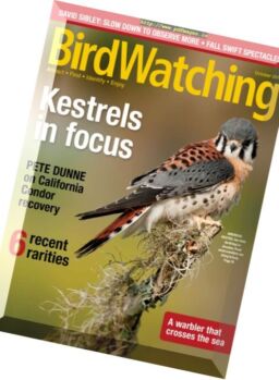 BirdWatching – September-October 2017