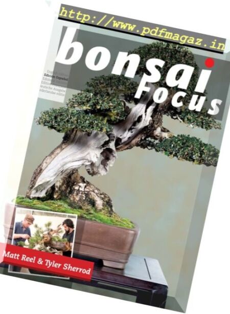 Bonsai Focus – Septiembre-Octubre 2017 Cover
