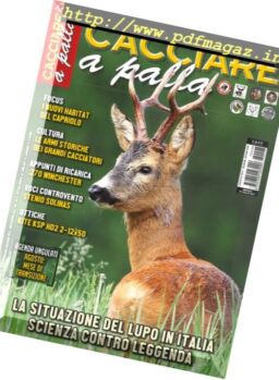 Cacciare A Palla – Agosto 2017