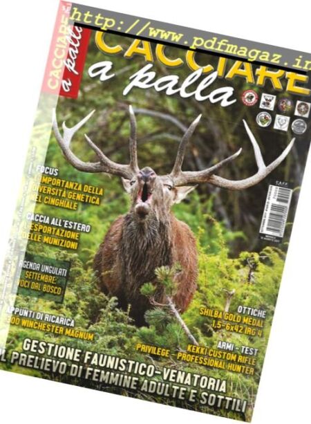 Cacciare A Palla – Settembre 2017 Cover