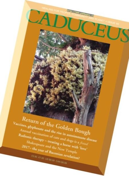 Caduceus – Spring 2017 Cover