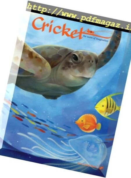 Cricket – July-August 2017 Cover