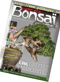 Esprit Bonsai France – Aout-Septembre 2017