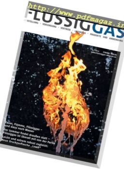 Flussiggas – Nr.4 2017