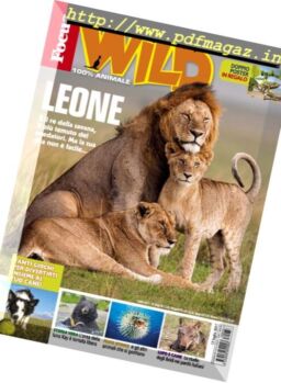 Focus Wild – Agosto 2017
