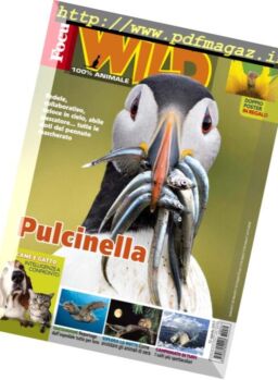 Focus Wild – Settembre 2017