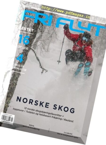 Fri Flyt – januar 2017 Cover
