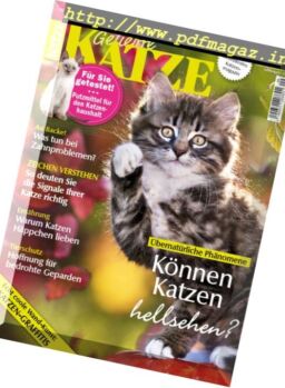 Geliebte Katze – September 2017