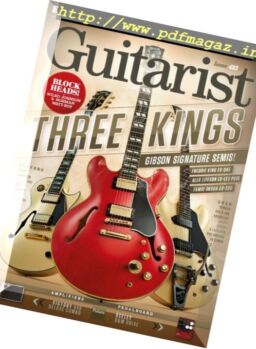 Guitarist – Summer 2017