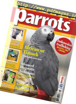 Parrots – September 2017