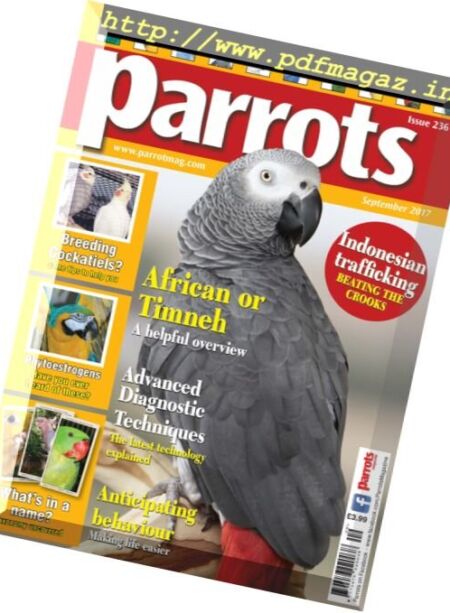 Parrots – September 2017 Cover