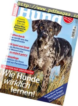 Partner Hund – September 2017