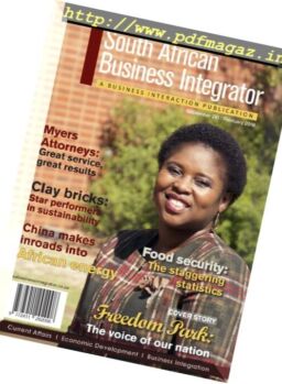South African Business Integrator – September 2017-February 2018