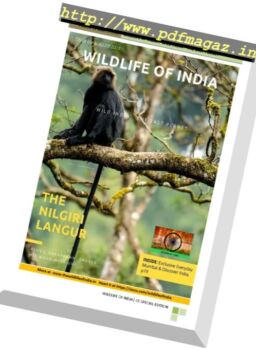 Wildlife of India – August 2017