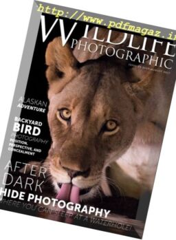 Wildlife Photographic – July-August 2017