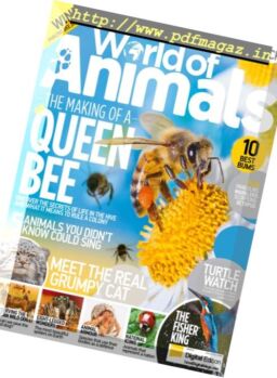 World of Animals – Issue 49, 2017