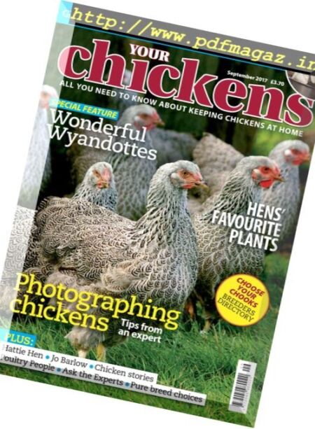 Your Chickens – September 2017 Cover