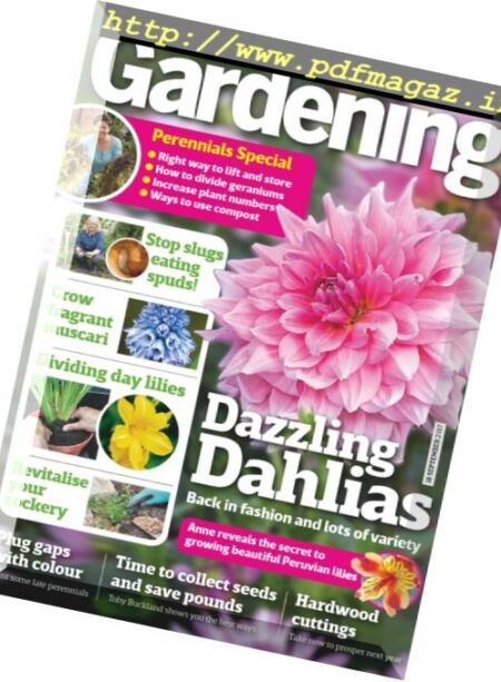 Amateur Gardening – 16 September 2017 Cover