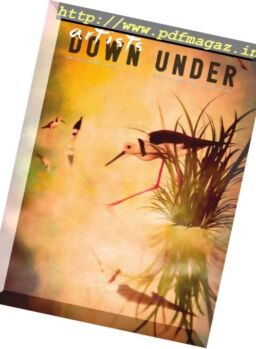 Artists Down Under – August 2017