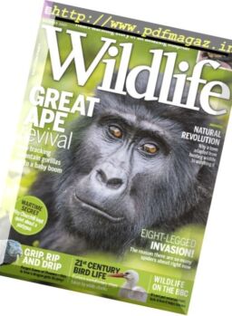 BBC Wildlife – October 2017