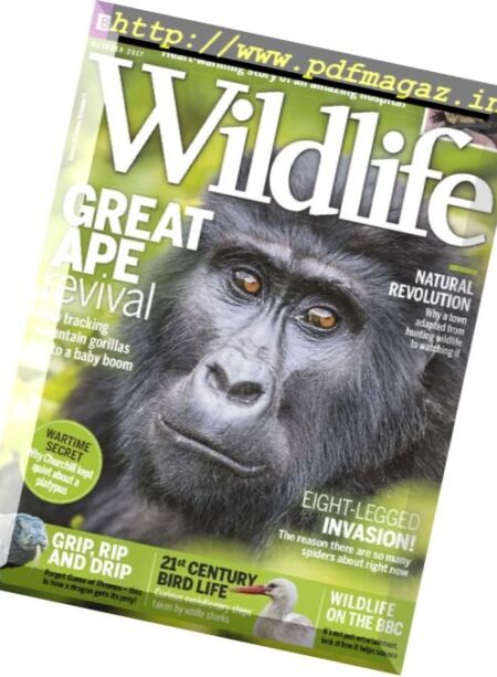 BBC Wildlife – October 2017 Cover