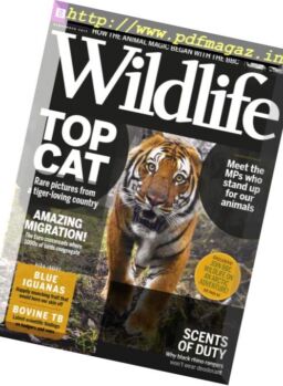BBC Wildlife – September 2017
