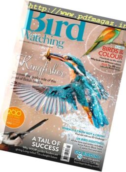 Bird Watching UK – Autumn 2017
