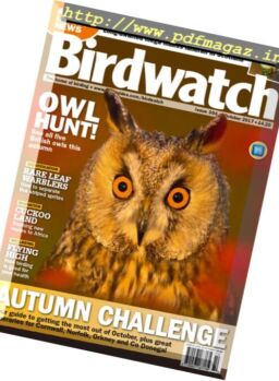 Birdwatch UK – October 2017