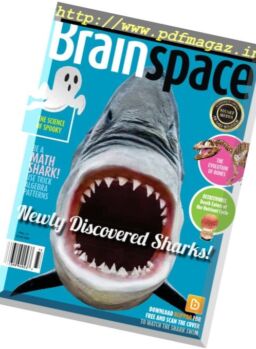 Brainspace – September 2017