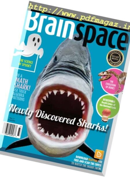 Brainspace – September 2017 Cover