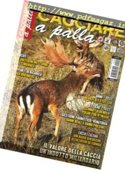 Cacciare a Palla – Ottobre 2017