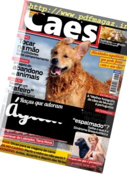 Caes & Companhia – Agosto 2017