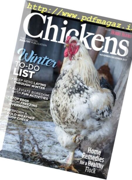Chickens – November-December 2017 Cover
