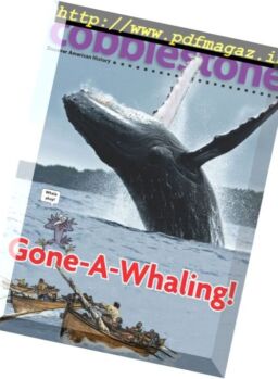 Cobblestone – September 2017